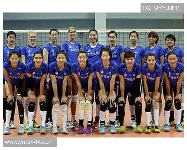 上海排球队在精英赛中的强劲表现与未来展望分析