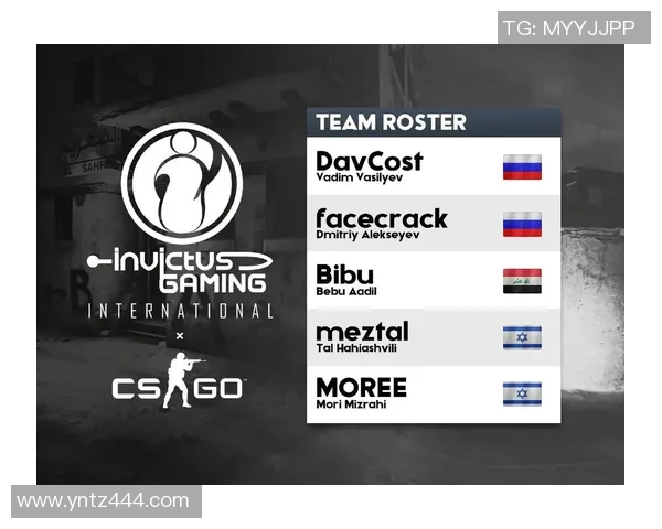 CSGO深度分析：探讨IG战队成员的个人技术与战术素养