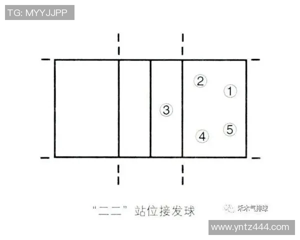 南京排球队团队协作的独特优势与其他球队的对比分析