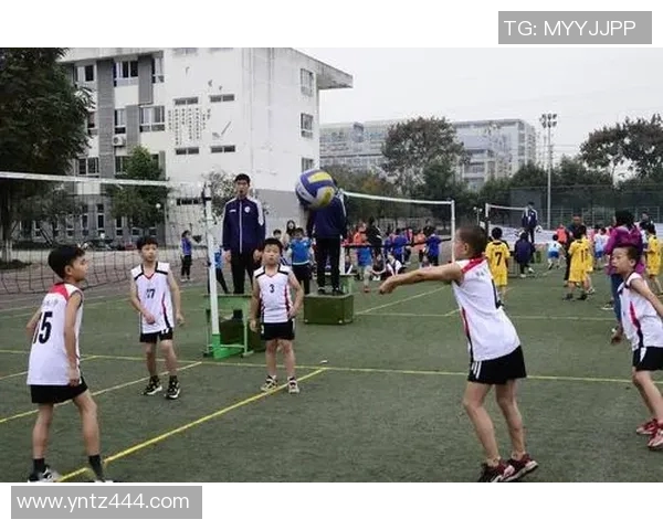成都排球队逆袭之旅的真实记录与奋斗精神展现 成都排球队逆袭之旅的真实记录与奋斗精神展现