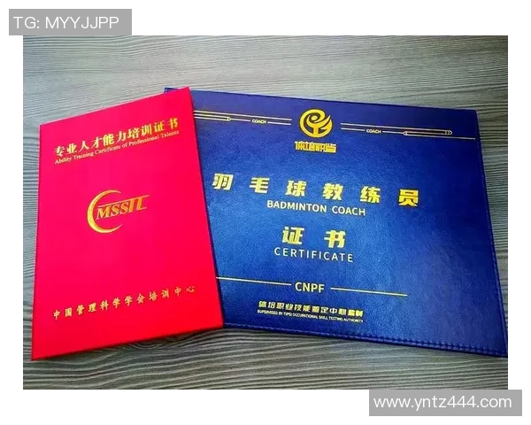 武汉羽毛球队进攻战术解析及其在比赛中的应用与成效探讨