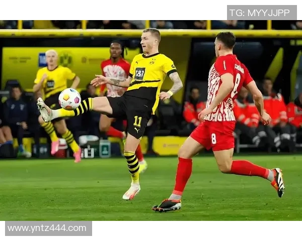 菲尔特对阵多特蒙特比赛前瞻及胜负预测分析