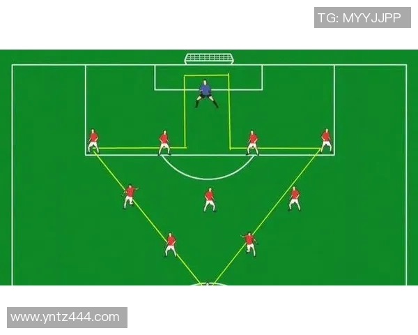 法国与冰岛足球阵型分析与战术对比探讨