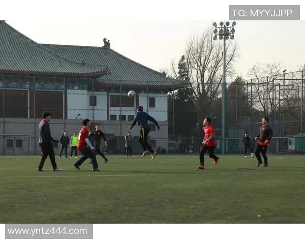 广州篮球队灵活性分析与战术创新探讨MBA