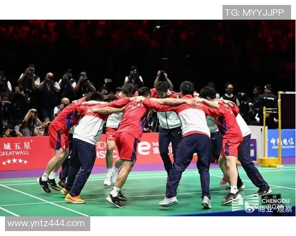 上海排球队逆袭之路联合会杯特别报道见证辉煌时刻与团队精神