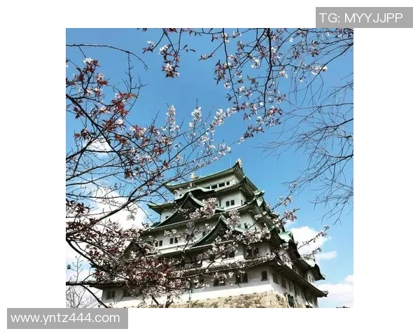 大板樱花迎战名古屋全力争胜展现球队实力与风采 大板樱花迎战名古屋全力争胜展现球队实力与风采