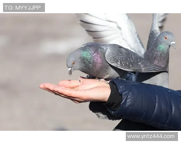 对话周伟：回顾足球生涯的辉煌与挑战，展望未来的梦想与目标