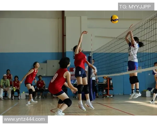 深圳排球队灵活性分析与表现评估探讨